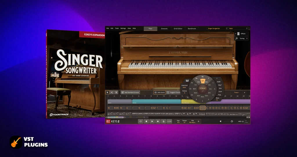 Toontrack – SINGER-SONGWRITER EX