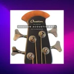 Past to Future Reverbs Ovation Acoustic Bass (Kontakt)