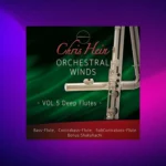 Best Service Chris Hein Orchestral Winds Vol. 5: Deep Flutes (Kontakt)