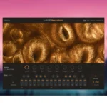 Native Instruments – Leap Soul Gold (KONTAKT)