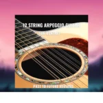 Past to Future Reverbs – 12 String Arpeggio Guitar (KONTAKT)