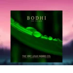 The Very Loud Indeed Co. – Bodhi Zen Chimes (KONTAKT)