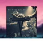 Past to Future Reverbs – Fat Moog Bass (KONTAKT)