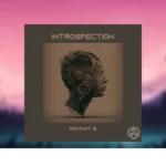 Triple Spiral Audio – Introspection 1.1.0 (KONTAKT)