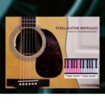 Past to Future Reverbs – Acoustic Steel Guitar Arpeggio (KONTAKT)